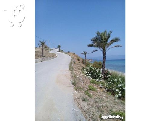 πώληση Αγροτεμαχίου